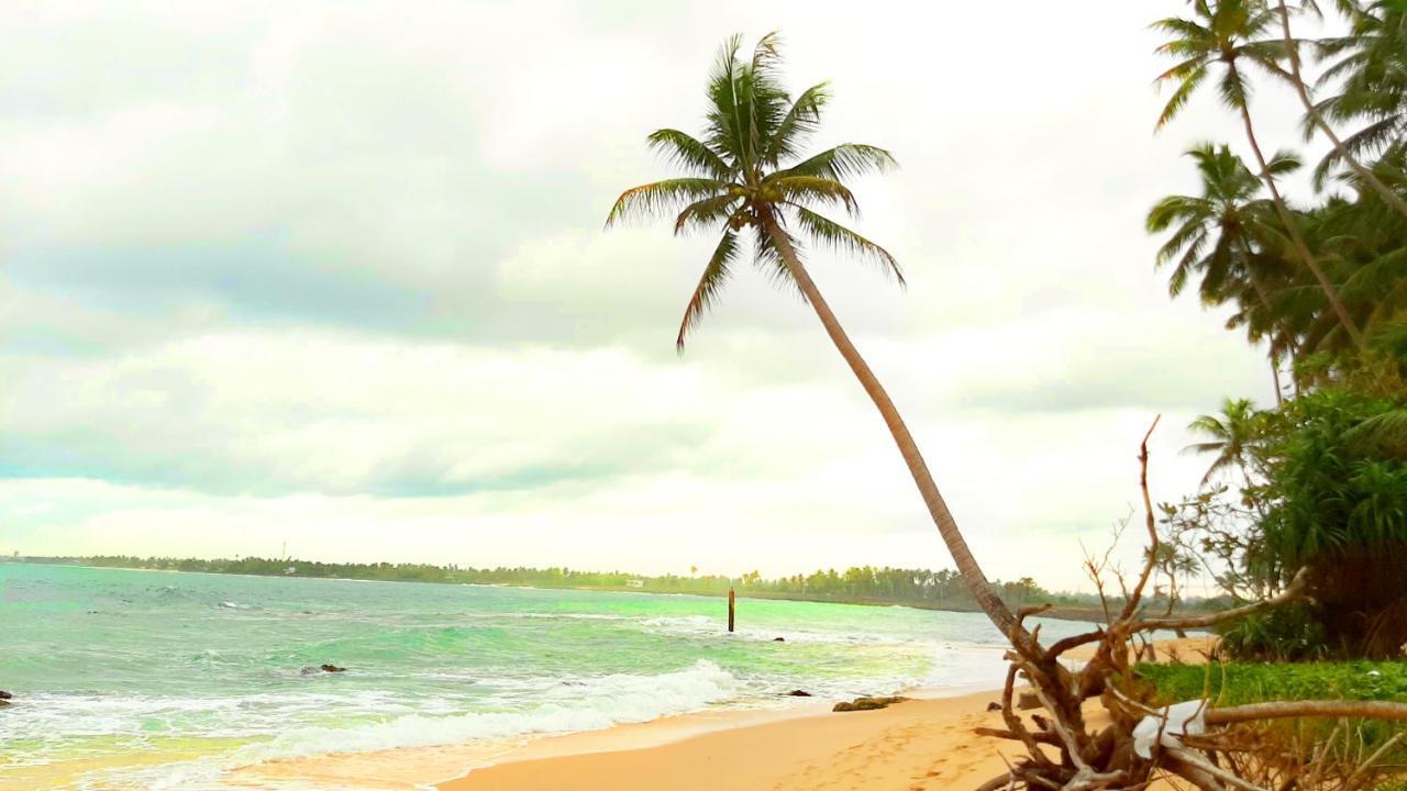 Akurala Beach Boutique Resort Exteriör bild