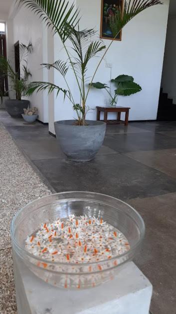 Akurala Beach Boutique Resort Exteriör bild