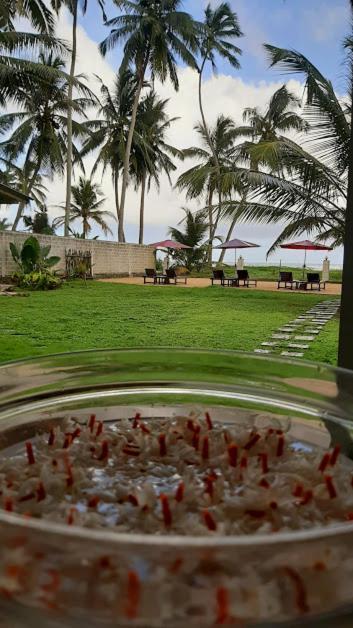 Akurala Beach Boutique Resort Exteriör bild