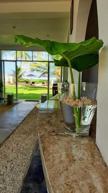 Akurala Beach Boutique Resort Exteriör bild